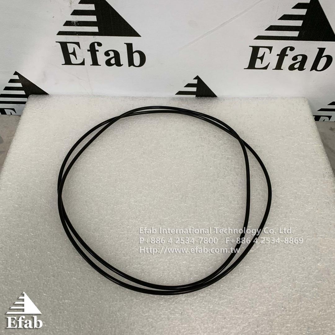 EFAB - O-Ring Reactor Lid Inner G4