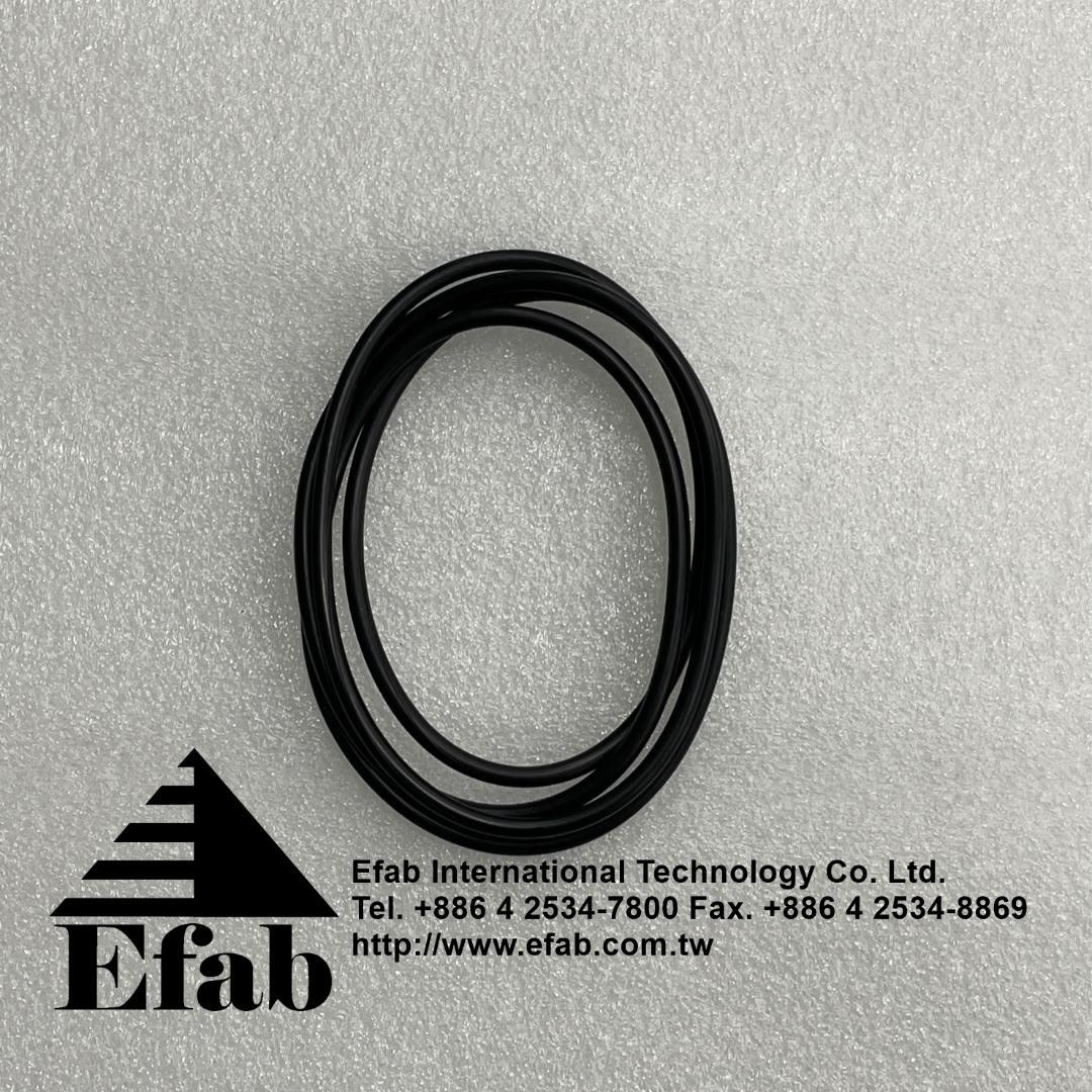 Aixtron - O-Ring 304.39x3.53