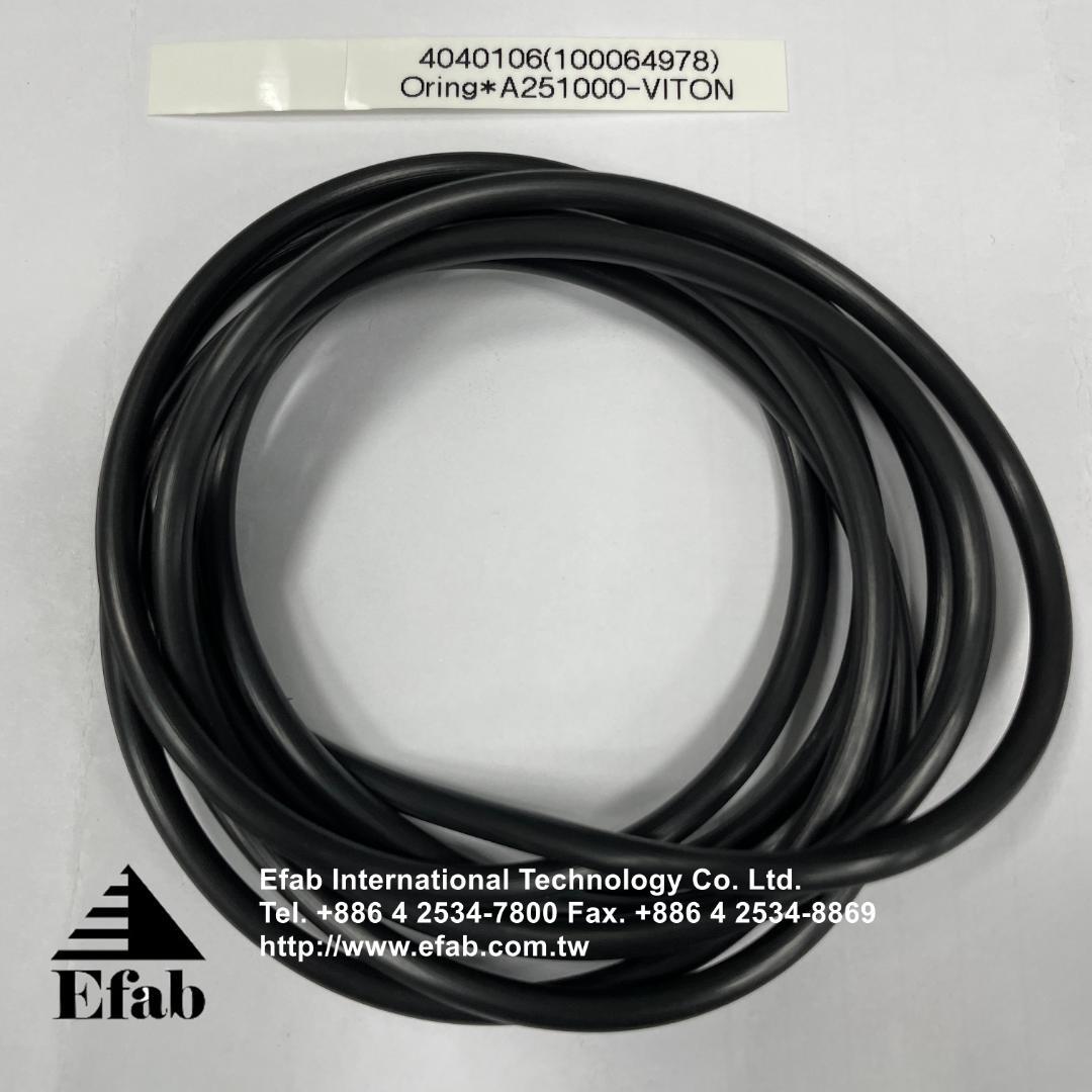EFAB - O-Ring A251000 (Viton)