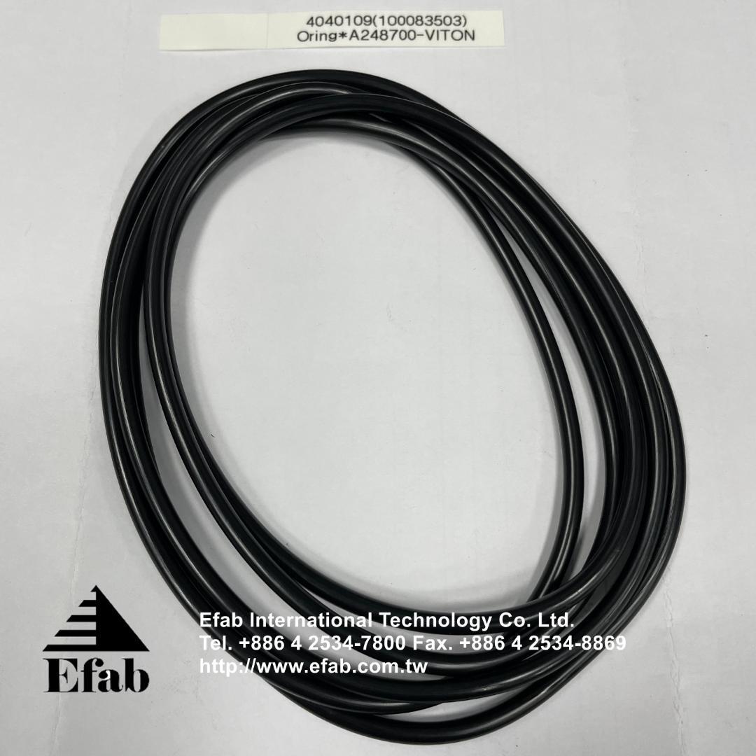 EFAB - O-Ring A248700 (Viton)