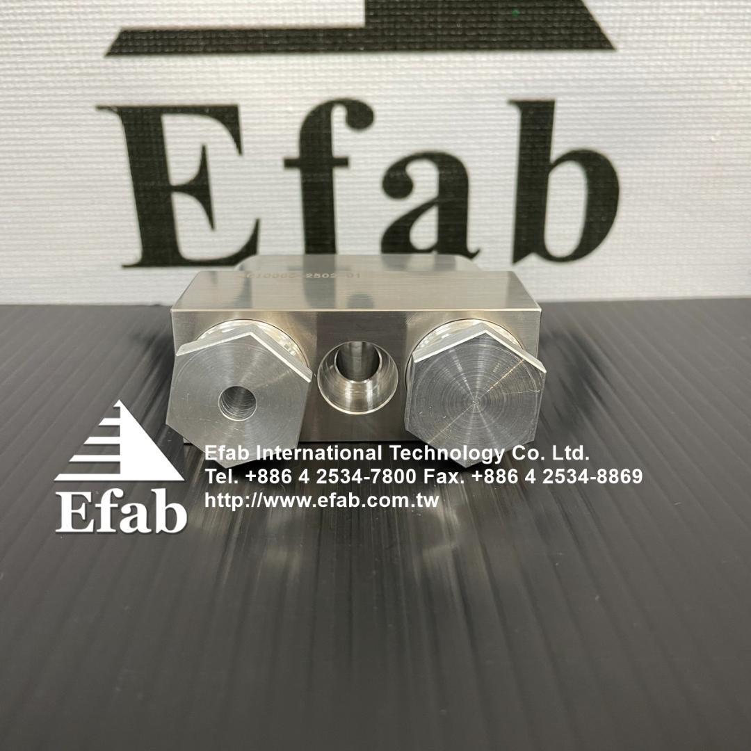 EFAB - Ceiling Port