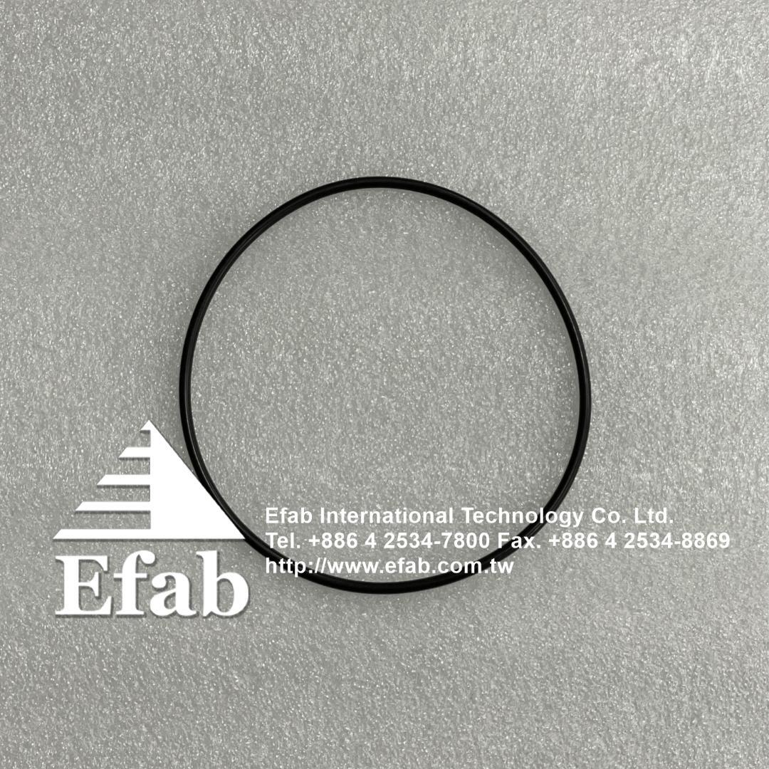 EFAB - O-Ring 100x3