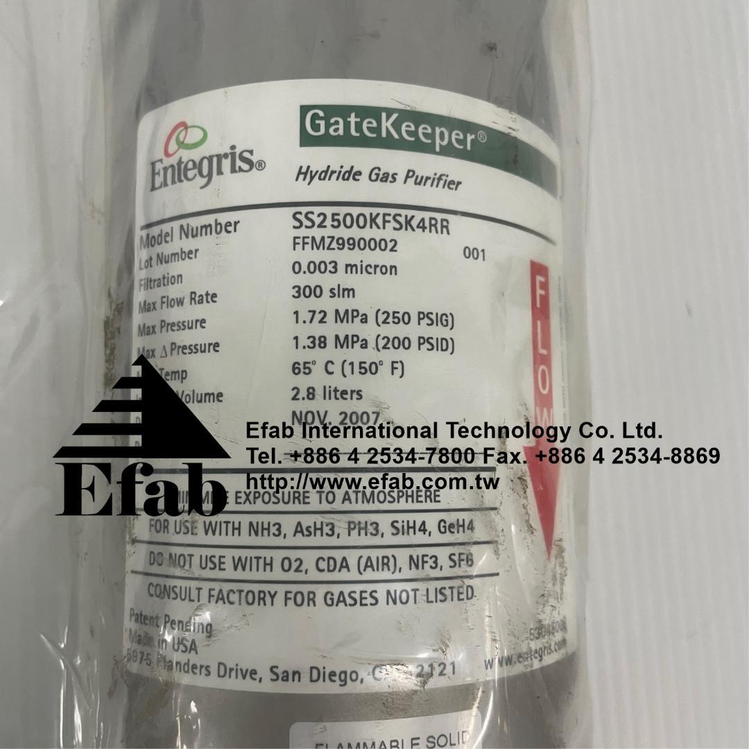 EFAB - Hydride Gas Purifier