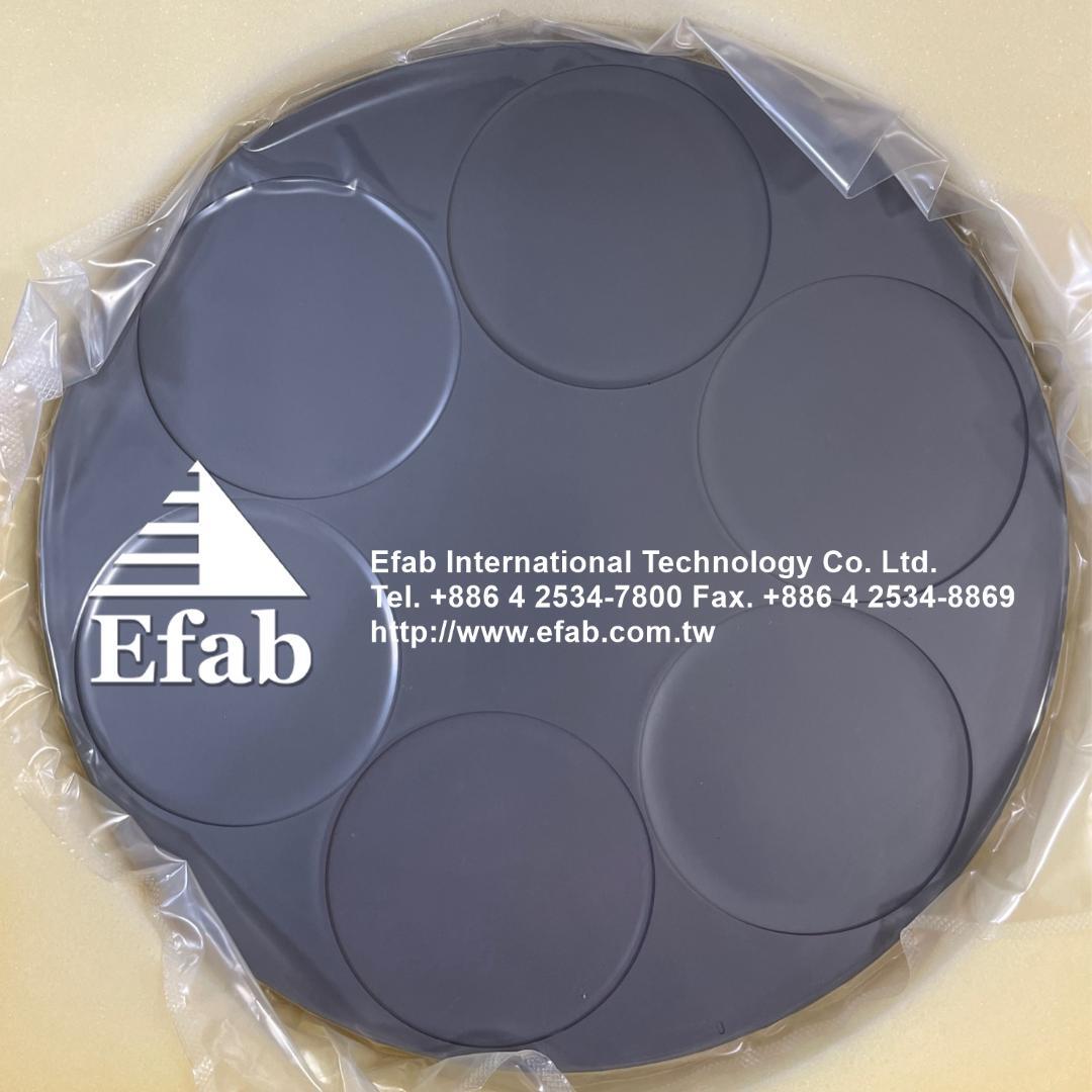 EFAB- Susceptor 4"x6