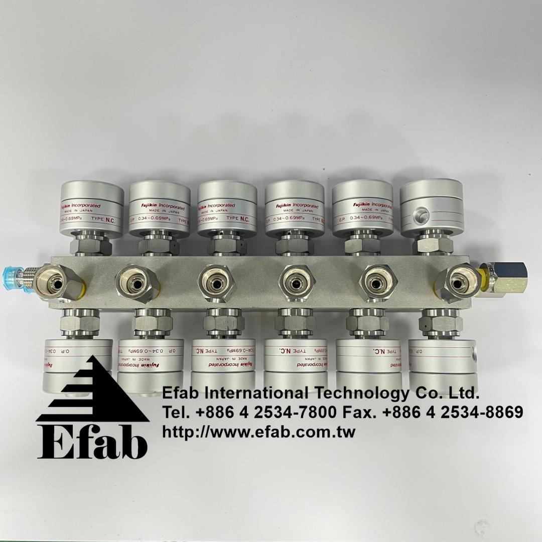 Fujikin- FBW-6.35-12B10-BR-L-EEK