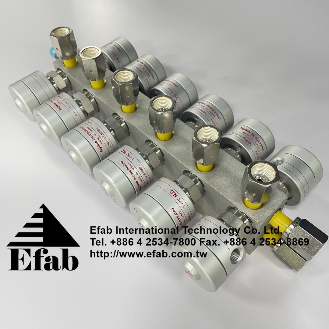 Fujikin- FBW-6.35-12B10-BR-L-EEK