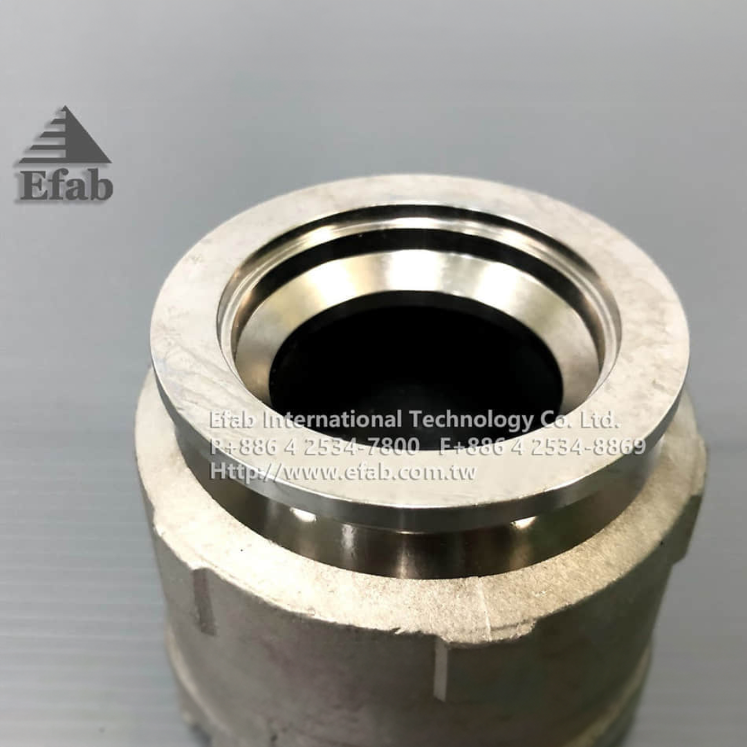 EFAB - Pump Outlet Check Valve